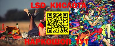 ПСИЛОЦИБИНОВЫЕ ГРИБЫ Кандалакша
