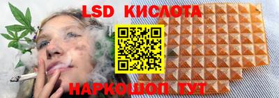 ПСИЛОЦИБИНОВЫЕ ГРИБЫ Кандалакша