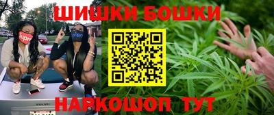 хмурый Камышлов