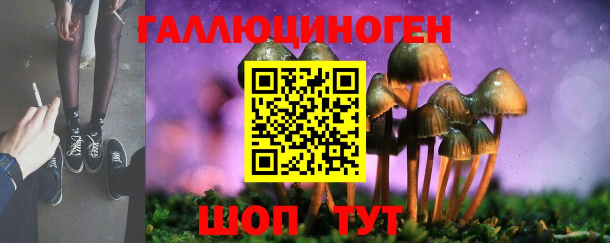 Кыштым  наркотики  Вход с VPN  Галлюциногенные грибы MAGIC MUSHROOMS 